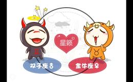 <h3>双子座和金牛座星座的配对指数
