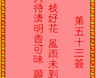 <h3>吕祖灵签第53签：古人桃花送药