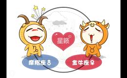 <h3>摩羯座和金牛座星座的配对指数