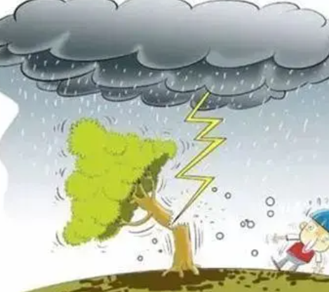 <h3>梦到雷雨