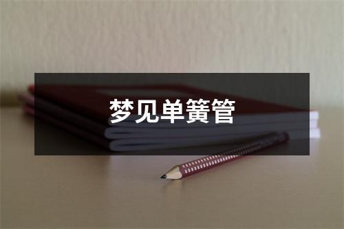 <h3>梦见单簧管