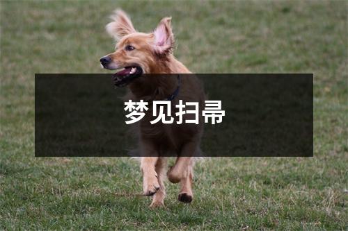 梦见扫帚