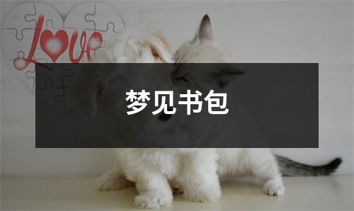 梦见书包