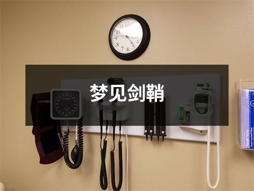 <h3>梦见剑鞘