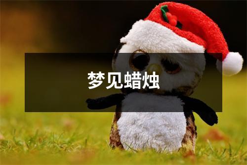<h3>梦见蜡烛