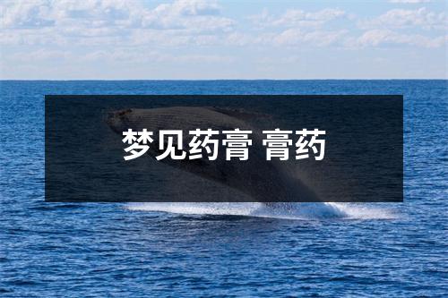 <h3>梦见药膏膏药