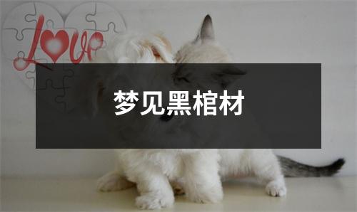 <h3>梦见黑棺材