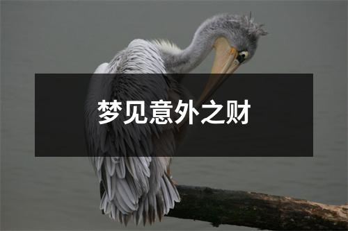 <h3>梦见意外之财