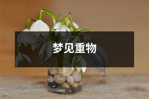 <h3>梦见重物
