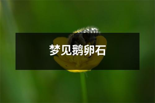 <h3>梦见鹅卵石