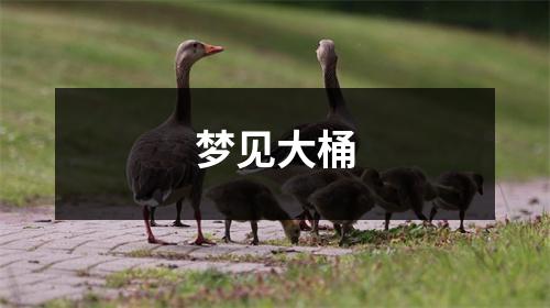 <h3>梦见大桶