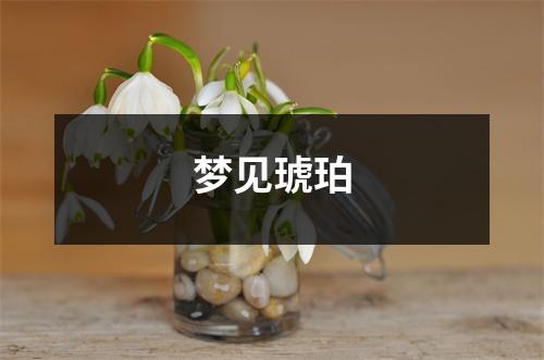 <h3>梦见琥珀