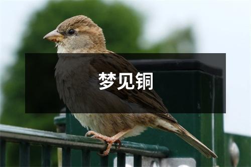 <h3>梦见铜