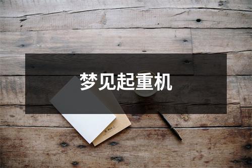 <h3>梦见起重机