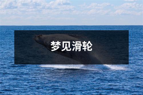 梦见滑轮