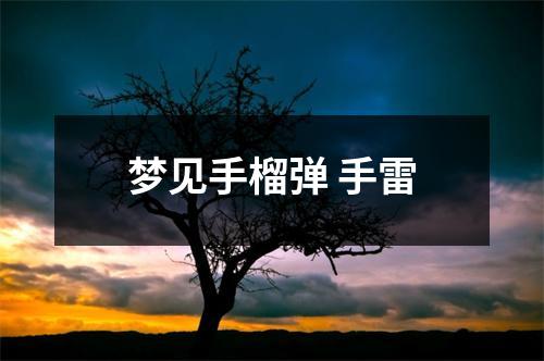 <h3>梦见手榴弹手雷