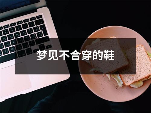 <h3>梦见不合穿的鞋