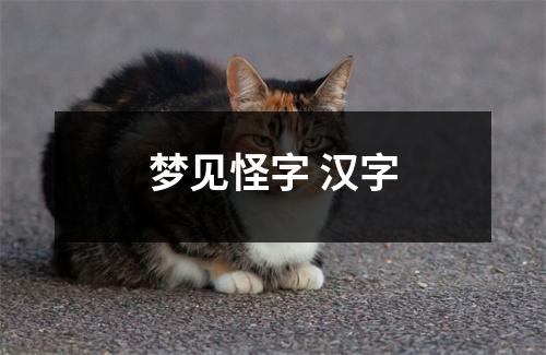 <h3>梦见怪字汉字