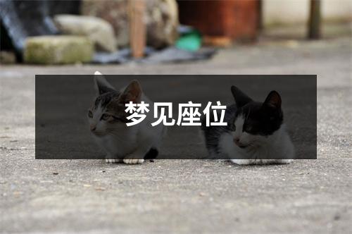 <h3>梦见座位