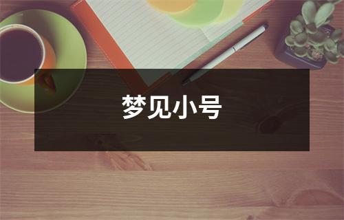 <h3>梦见小号