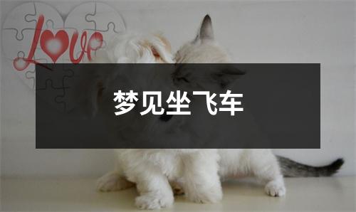 <h3>梦见坐飞车