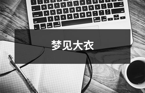 <h3>梦见大衣