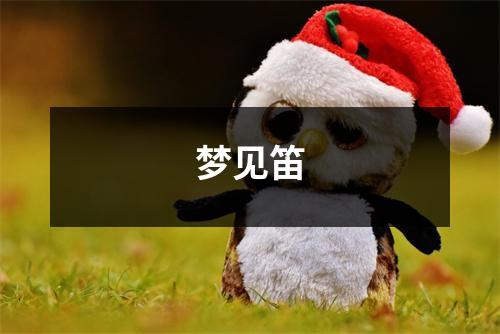 <h3>梦见笛