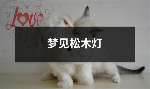 <h3>梦见松木灯