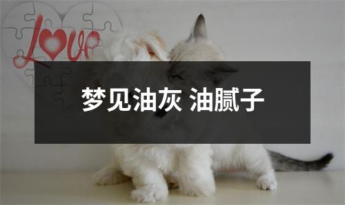 <h3>梦见油灰油腻子