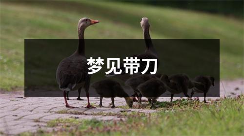 <h3>梦见带刀