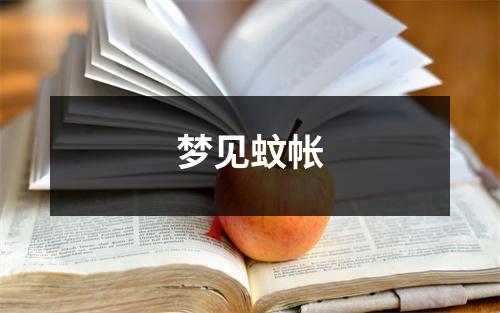 <h3>梦见蚊帐