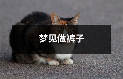 <h3>梦见做裤子