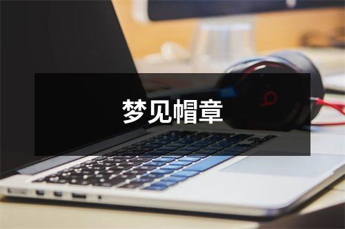 <h3>梦见帽章