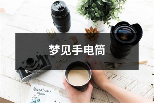 <h3>梦见手电筒