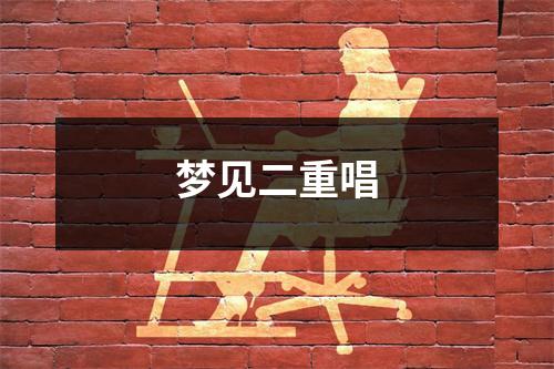<h3>梦见二重唱