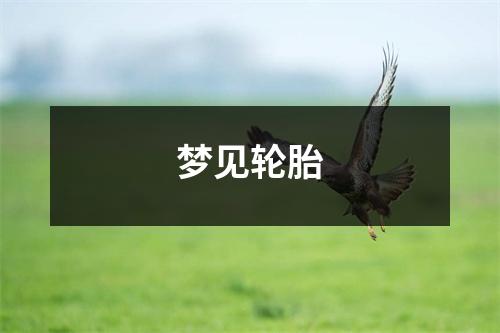 <h3>梦见轮胎
