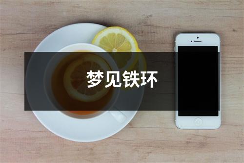 <h3>梦见铁环