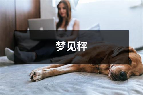 <h3>梦见秤