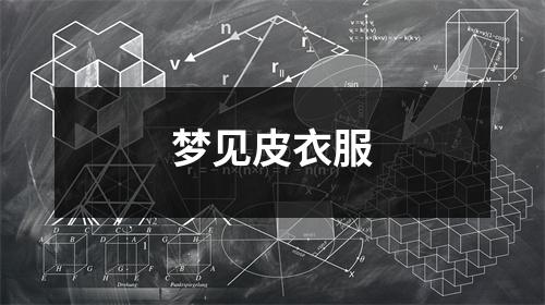 <h3>梦见皮衣服
