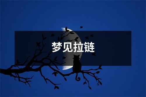 <h3>梦见拉链