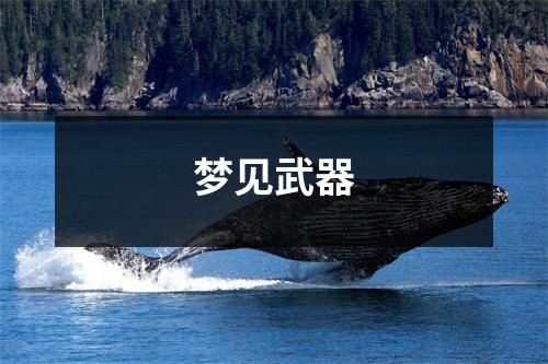 <h3>梦见武器