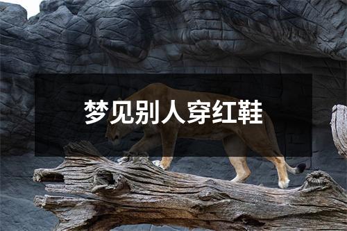 <h3>梦见别人穿红鞋