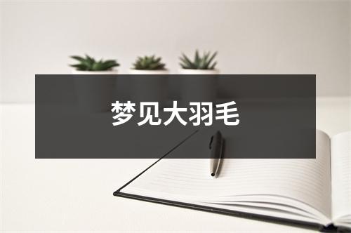 <h3>梦见大羽毛