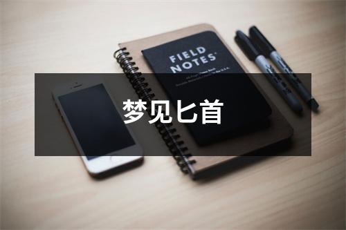 <h3>梦见匕首