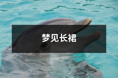 <h3>梦见长裙