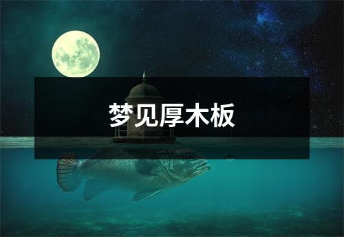 <h3>梦见厚木板