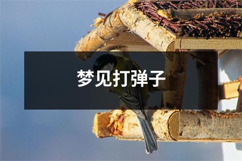 <h3>梦见打弹子