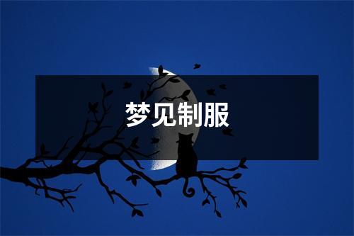 <h3>梦见制服