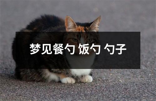 <h3>梦见餐勺饭勺勺子