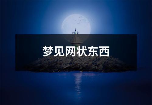 <h3>梦见网状东西